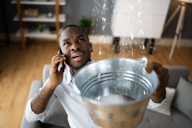 Best Water damage restoration company  in Greenock, PA