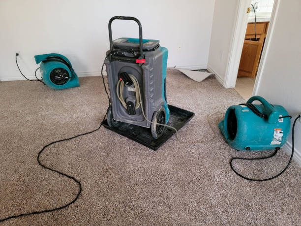 Best Commercial water damage restoration  in Greenock, PA