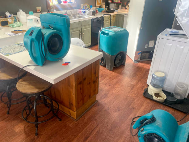 Best Sewage cleanup and water damage restoration  in Greenock, PA