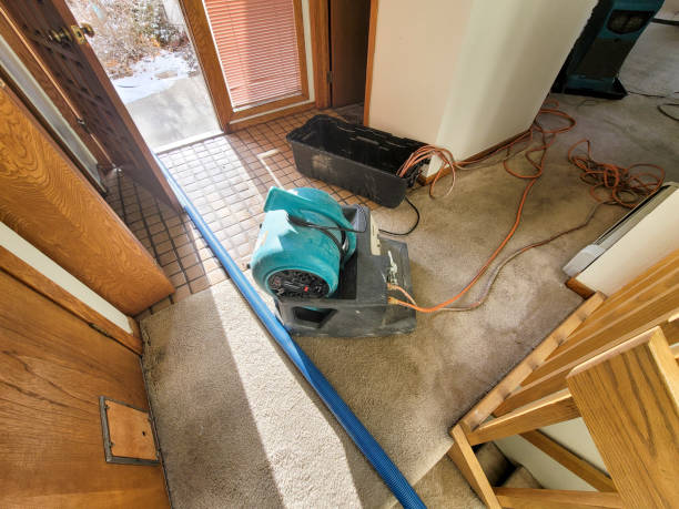 Best Ceiling water damage repair  in Greenock, PA