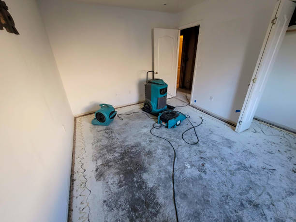 Best Carpet water damage restoration  in Greenock, PA