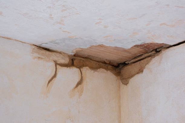 Best Water damage restoration cost  in Greenock, PA