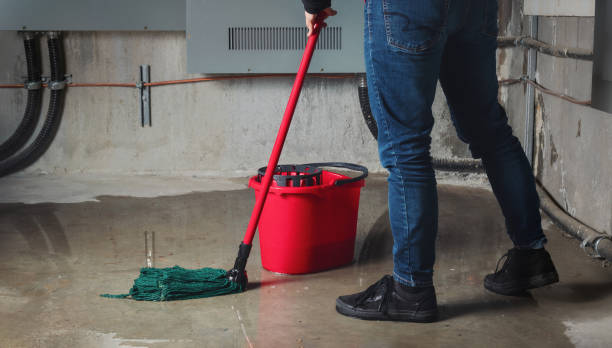 Best Water damage restoration near me  in Greenock, PA