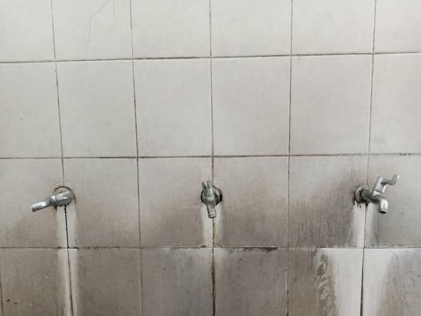Best Basement water damage restoration  in Greenock, PA