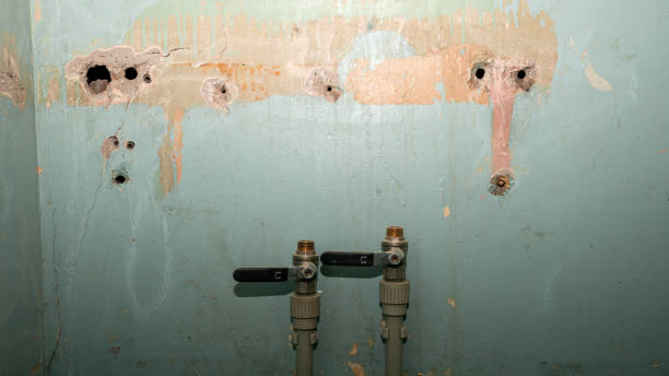 Best Sewage cleanup and water damage restoration  in Greenock, PA