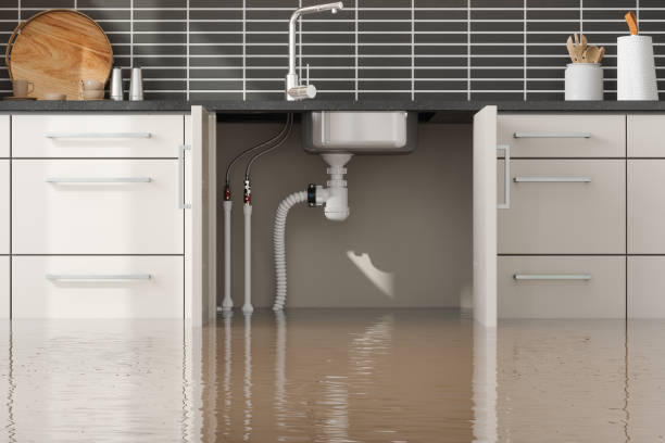 Best Water damage cleanup near me  in Greenock, PA