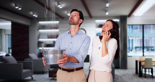 Best Local water damage restoration  in Greenock, PA