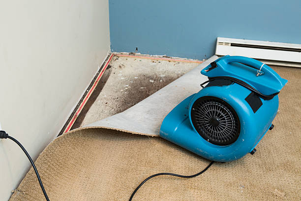 Best Flood damage cleanup  in Greenock, PA